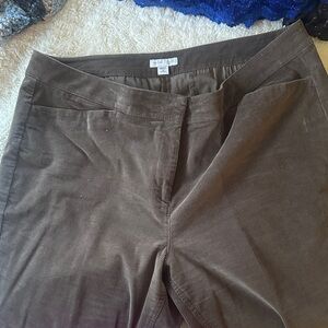 J. Jill Women's Pants in Brown